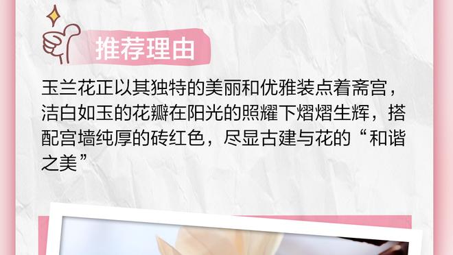 开云app下载入口官方网站安卓截图4